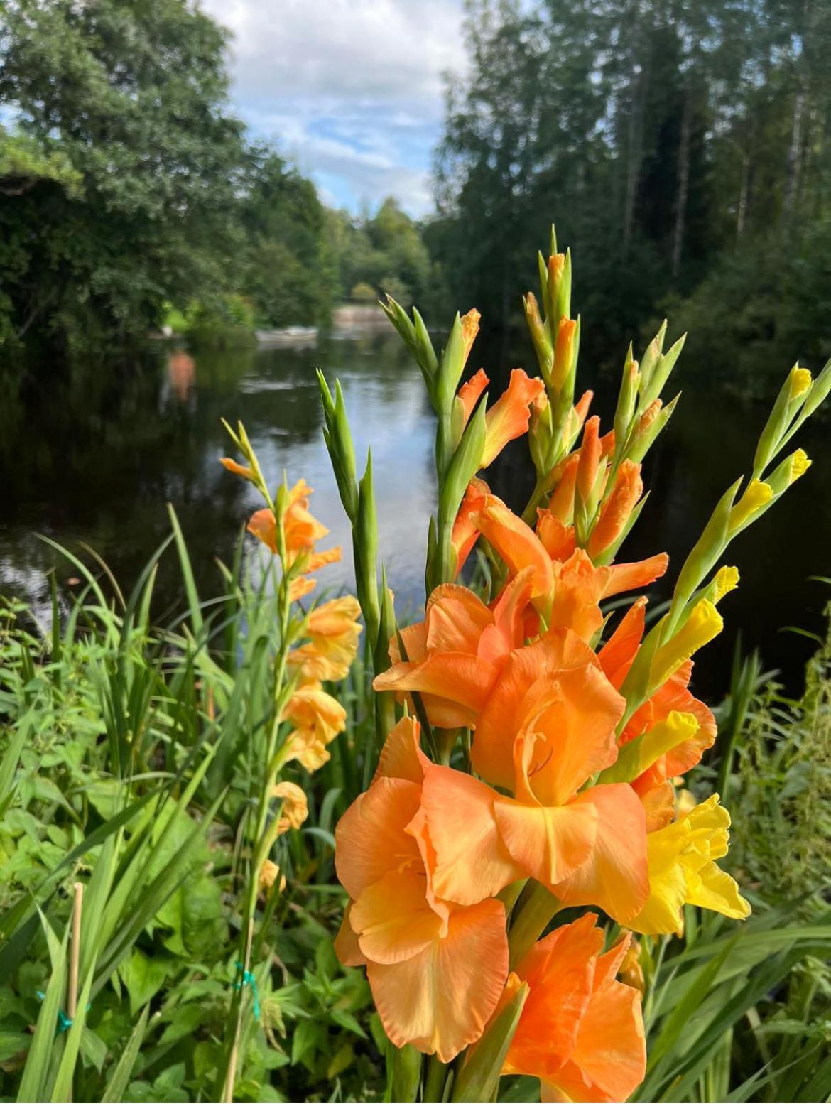 Praestgarden